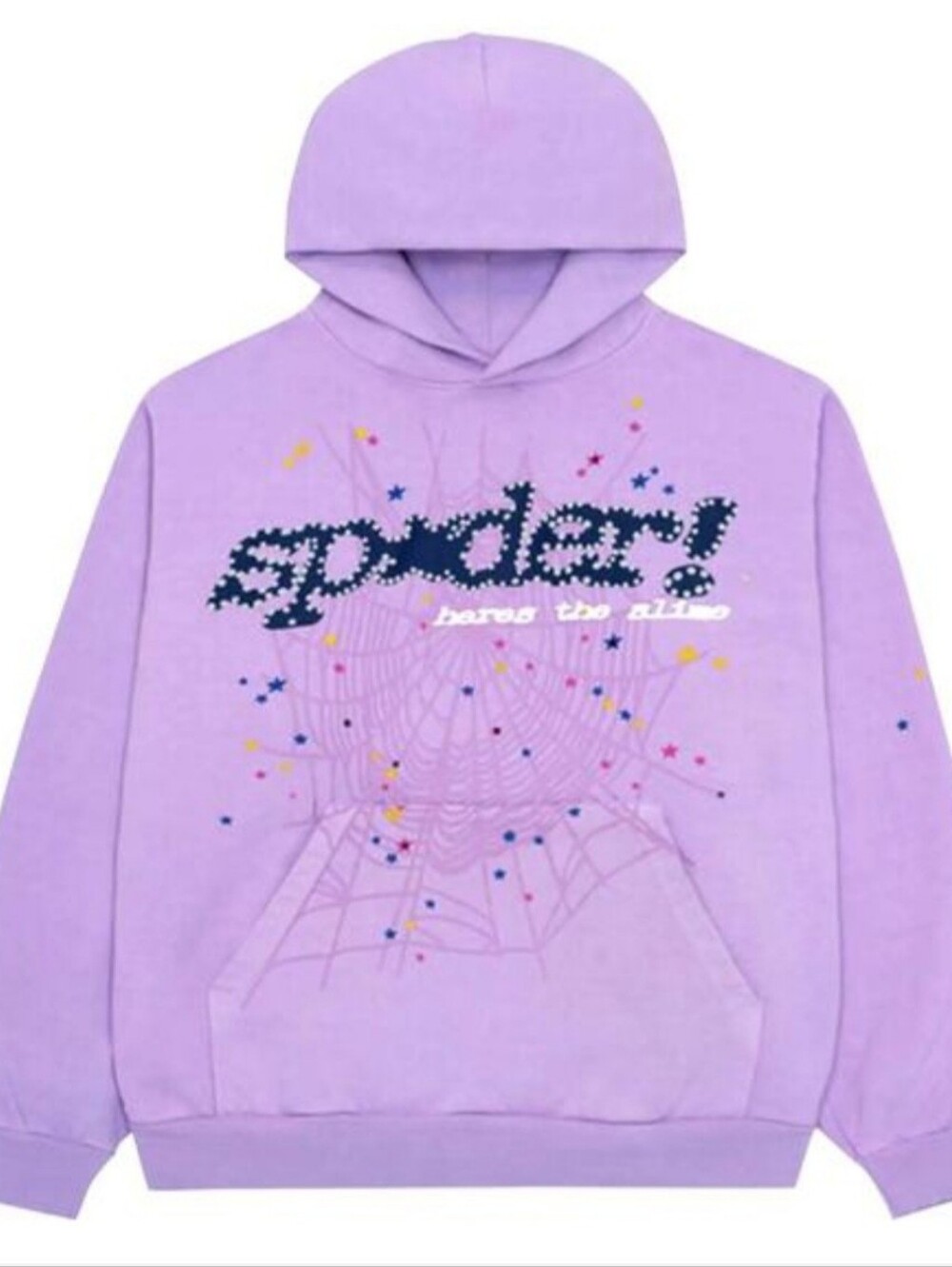 Sp*der Worldwide Acai Hoodie